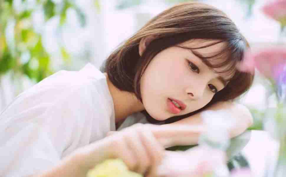 热播综艺2